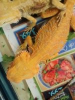 thumbnail_IMG_20161222_113858613.jpg