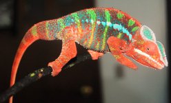 DSC_1355.jpg