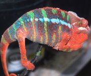 DSC_1356.jpg