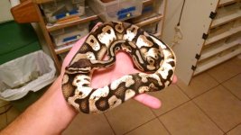 IMG_20161004_015300014.jpg