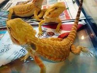 thumbnail_IMG_20161222_114343475.jpg