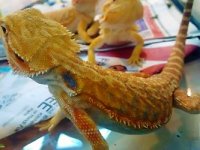 thumbnail_IMG_20161222_114349059.jpg