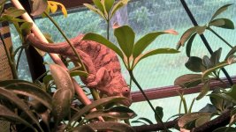 WP_20160728_13_10_16_Pro.jpg