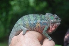 DSC_1304.jpg