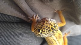 20160716_131147.jpg