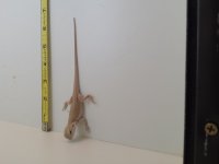20160731_201325.jpg