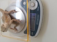 20160731_201350.jpg