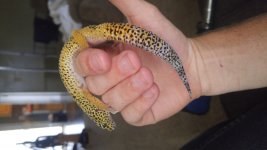 20160716_131017.jpg