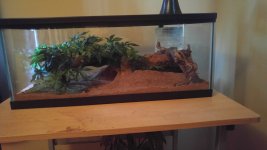 20160625_100652.jpg