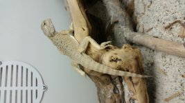 20160714_074938.jpg
