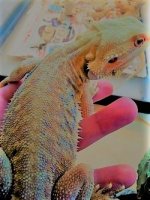 thumbnail_IMG_20161222_152749010.jpg