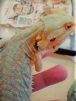 thumbnail_IMG_20161222_152754187.jpg