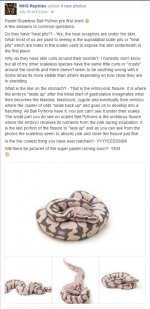 scaleless.jpg