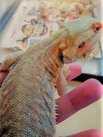 thumbnail_IMG_20161222_152811924.jpg