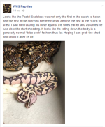 scaleless2.png