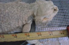 20160814_142621.jpg