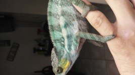 20160822_141213.jpg