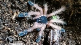 thumbnail_20160817_220022.jpg