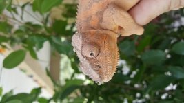20160918_111149.jpg