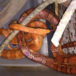 IMG_3222.jpg