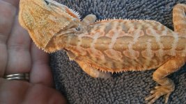 20160805_112914.jpg