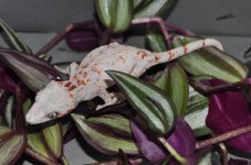 DSC_0782.jpg