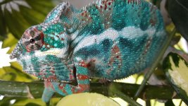 20160817_172403.jpg
