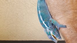 20160911_132244.jpg