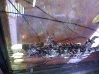20161206_145957.jpg