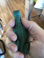 IMG_2031.JPG