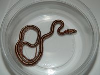 DSCN1422.jpg