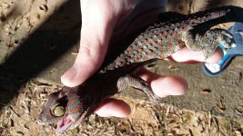 20161017_104734.jpg