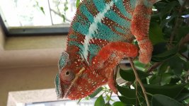 20160911_115214.jpg