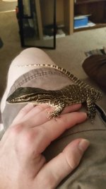 20160625_210440.jpg