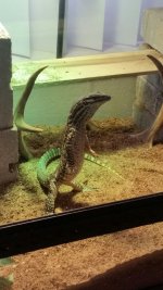 20160721_152144.jpg