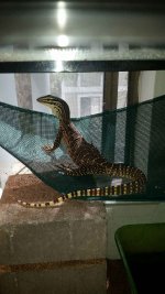 20160713_103813.jpg