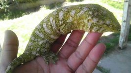 received_1323951244302125.jpeg