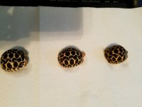 20160813_170205.jpg