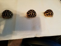 20160813_170136.jpg