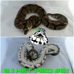 PicsArt_10-17-10.42.15.jpg