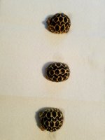 20160813_170114.jpg