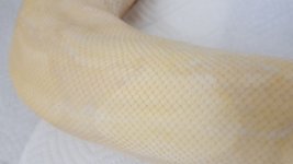20161026_120932.jpg