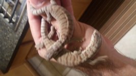 20161127_210517.jpg