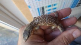 20160907_162410.jpg