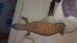 20160928_151325.jpg