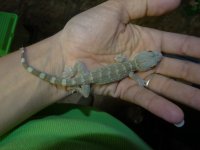 DSC06660 F2VC04-10.jpg