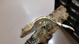 20170110_091247.jpg