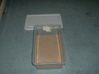 DSCF0015.JPG