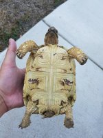 20160813_175934.jpg