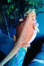 2016-07-30_02-32-59.jpg
